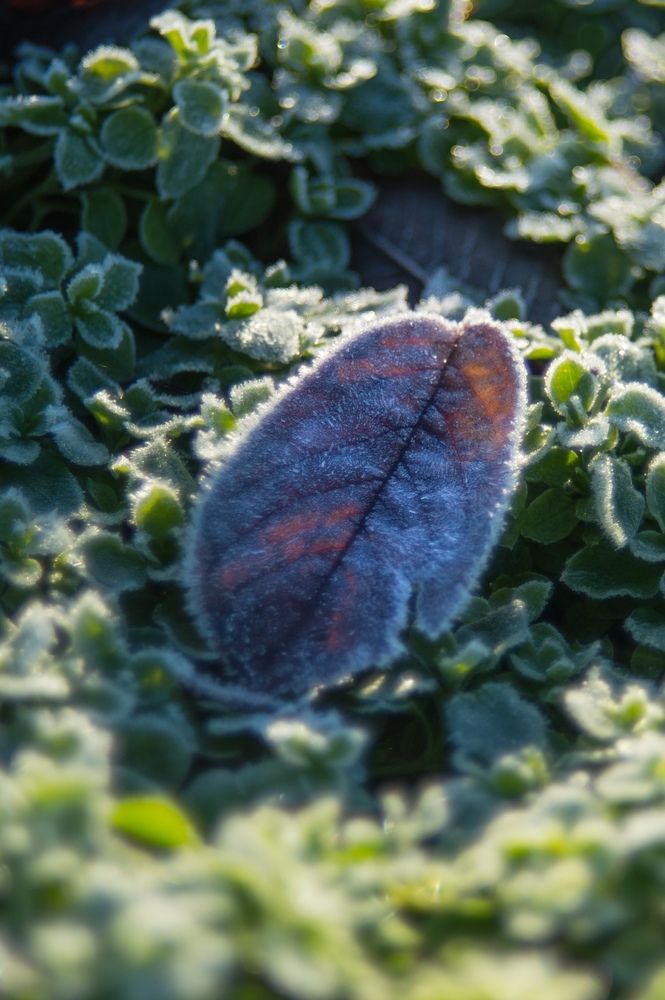 Photograph by Анастасия