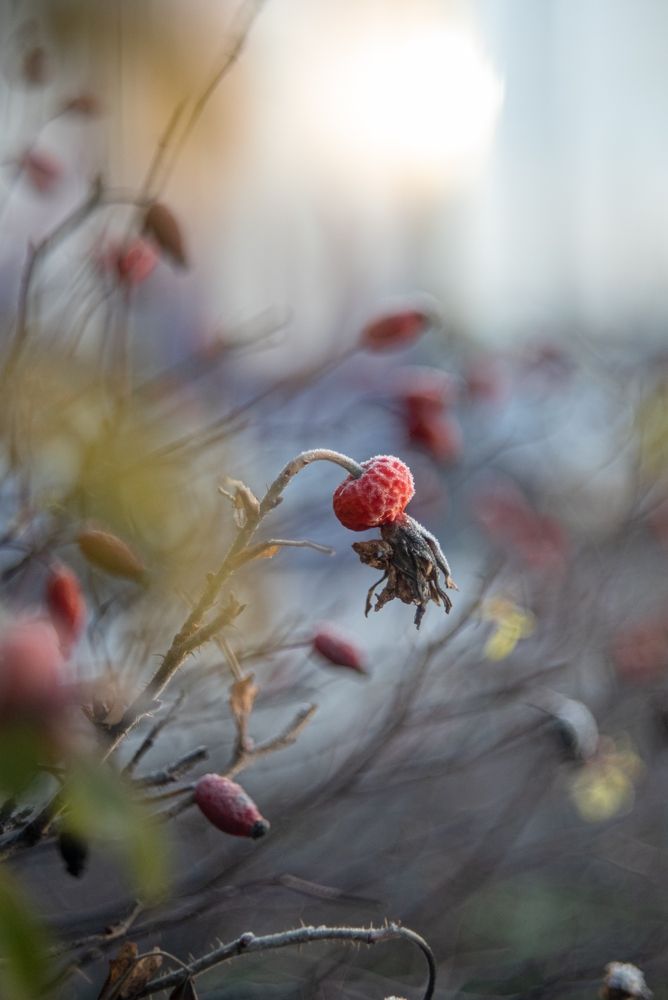 Photograph by Анастасия