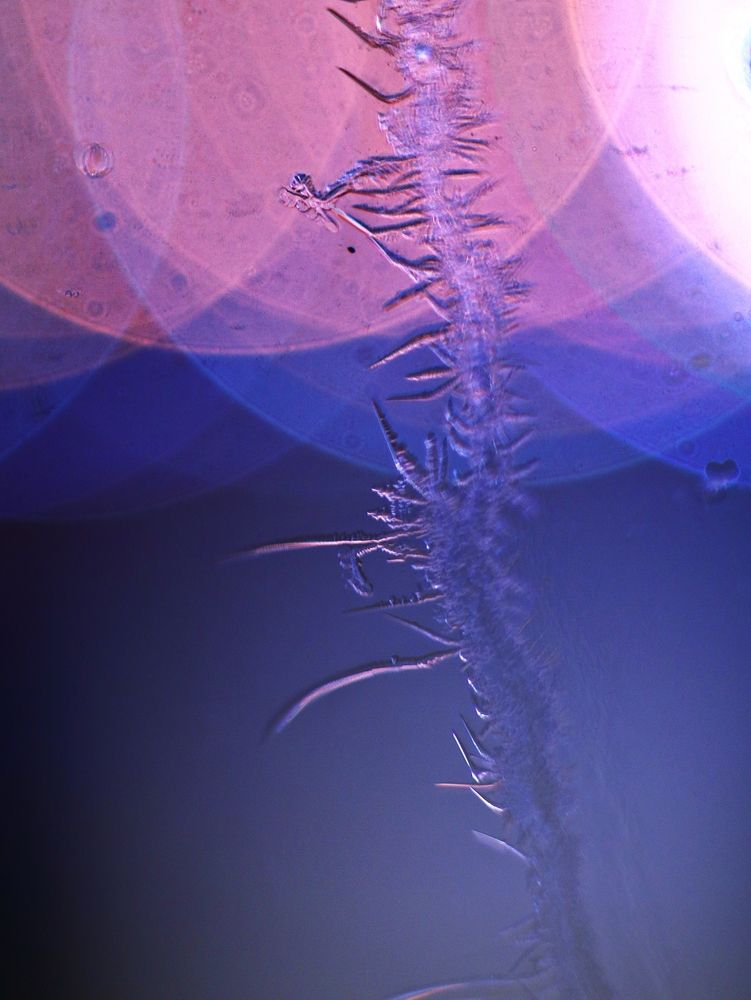 Фотография автора Светлана Алехина