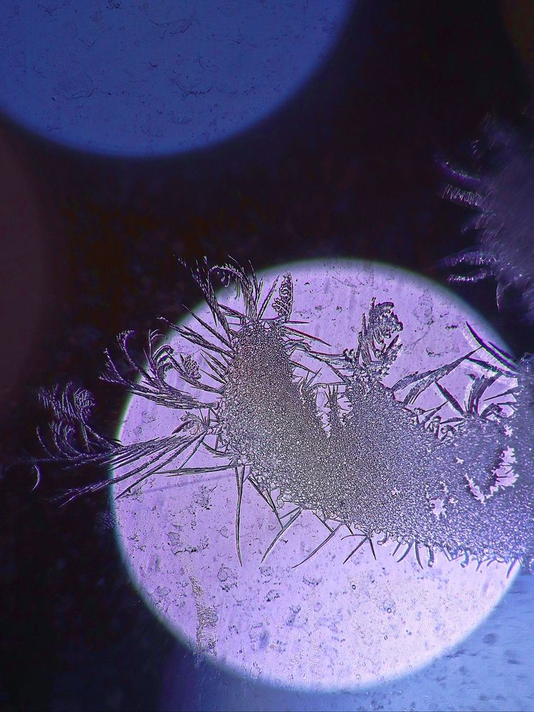 Фотография автора Светлана Алехина