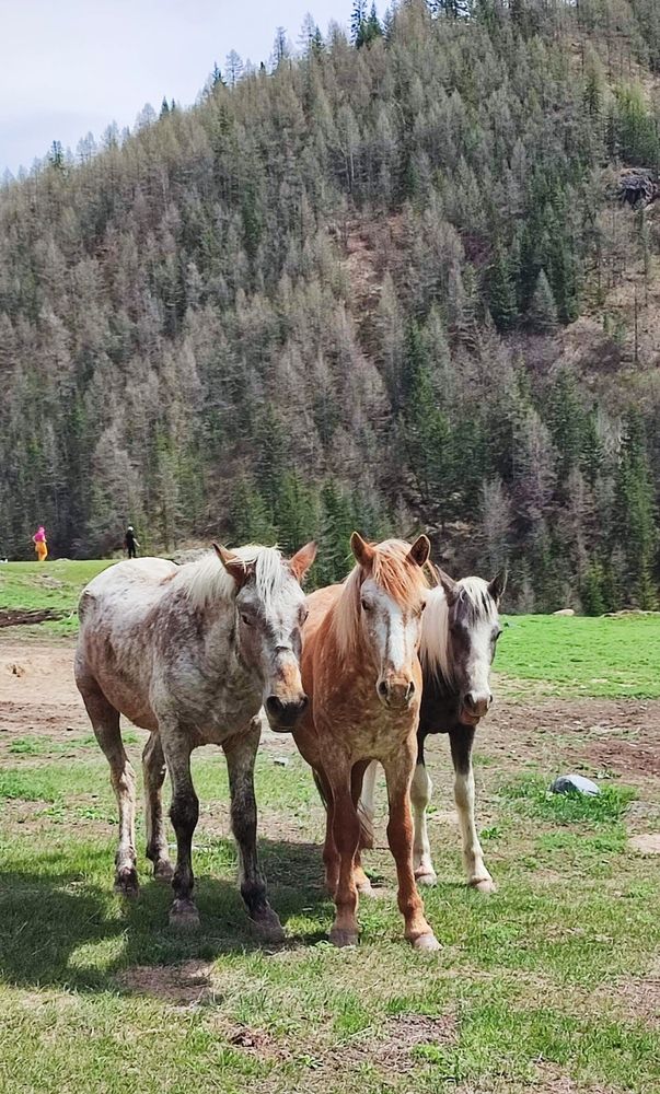 Photograph by Полина Скурская