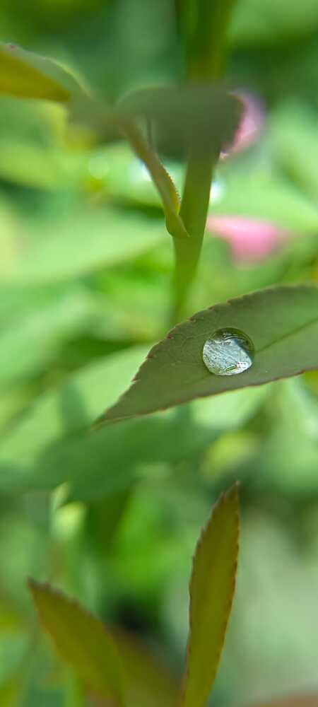 Photograph by Vidhi Khurana