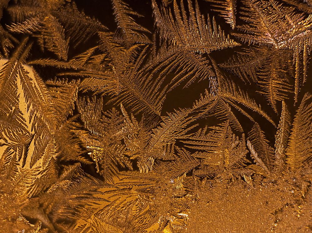 Фотография автора Борис Журавлёв