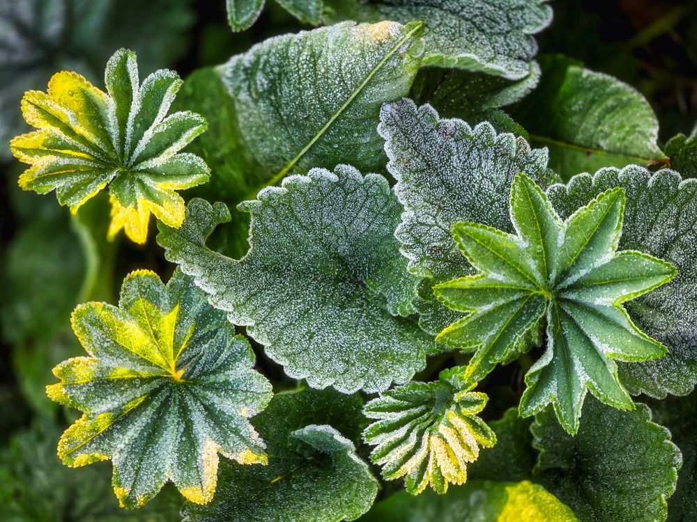 Photograph by Василий Яковлев