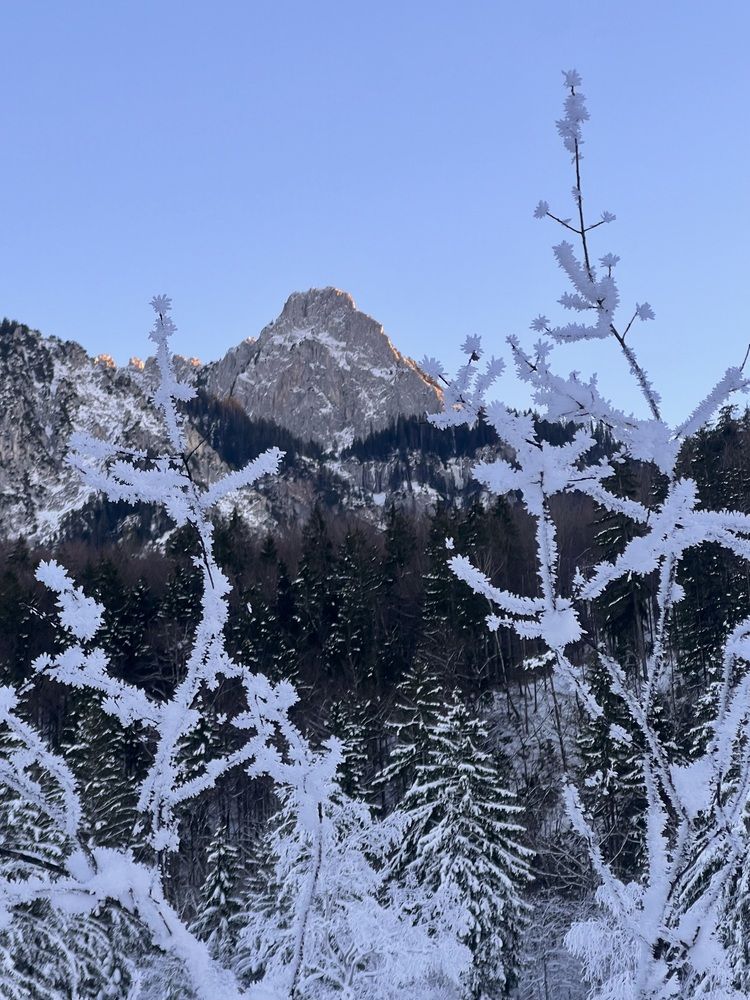 Фотография автора Veronika Lemke