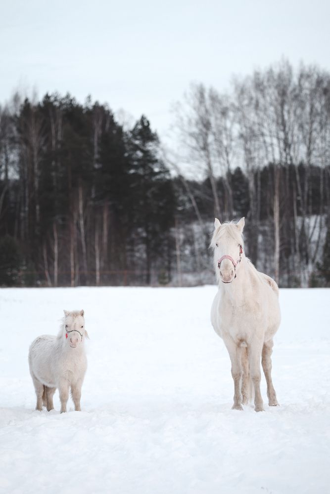 Photograph by Екатерина Ромадановская