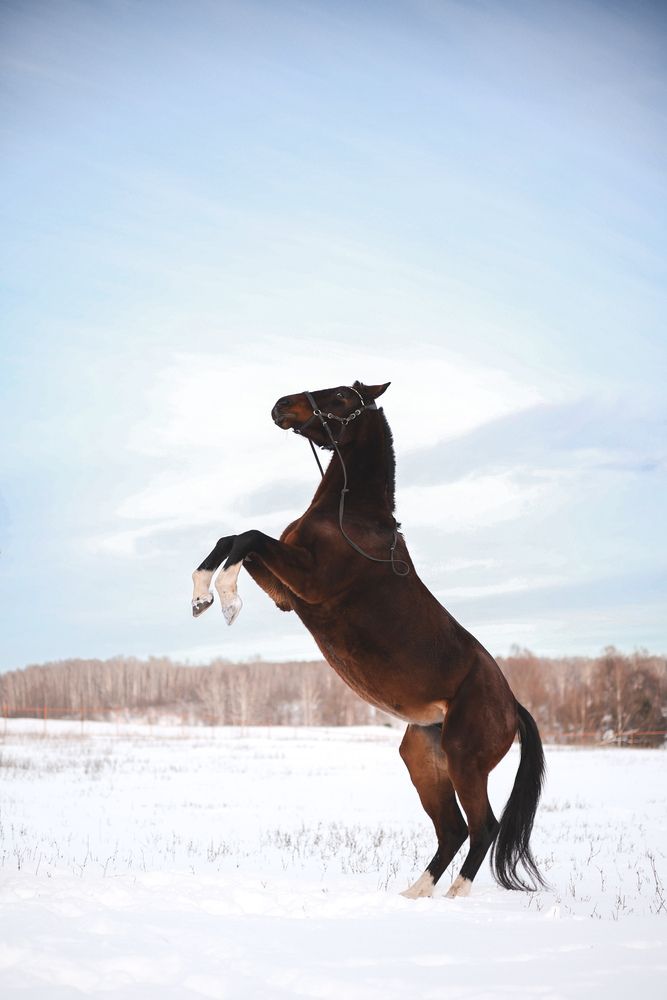 Photograph by Екатерина Ромадановская