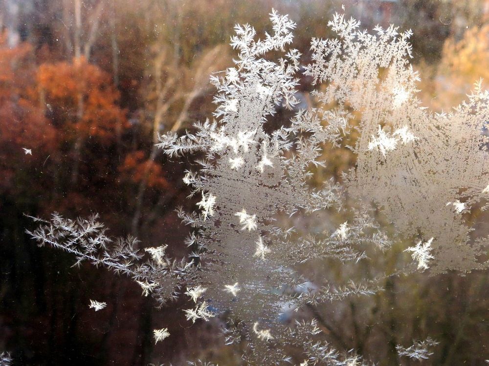 Морозный узор