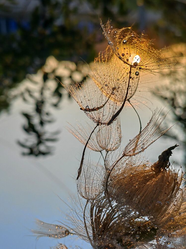Photograph by Ульяна Кузьмина