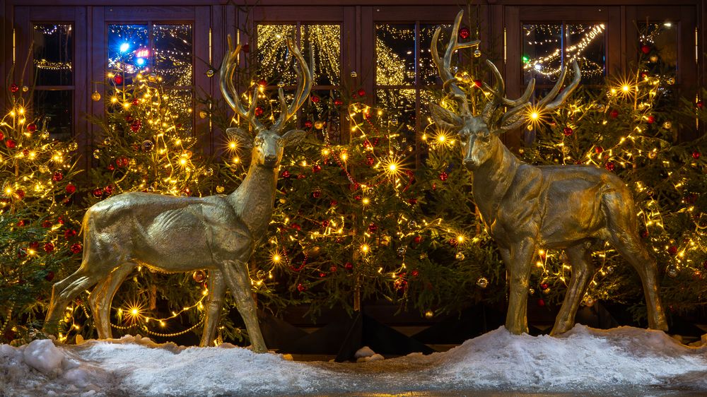 Photograph by Сергей Прищепа