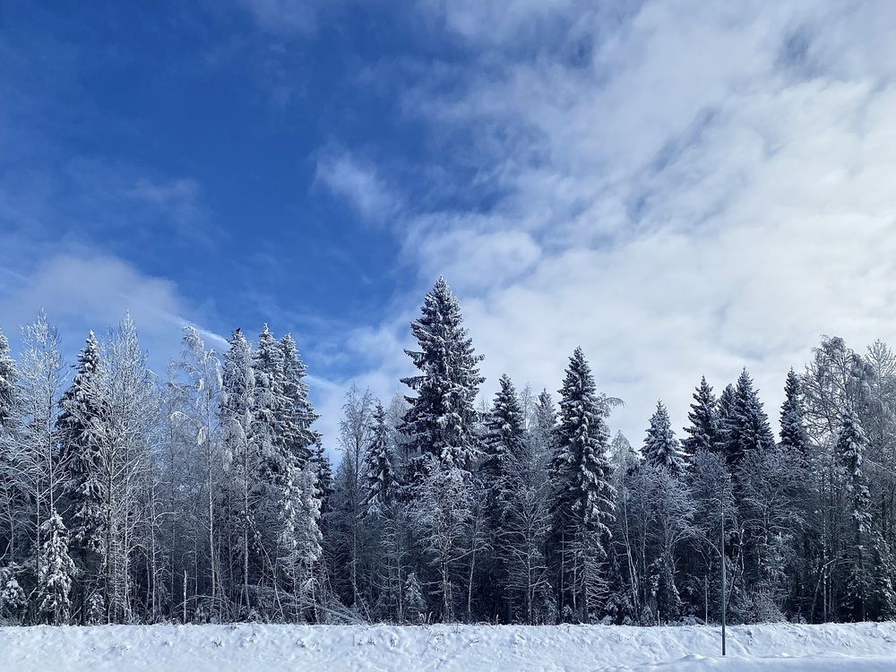 Фотография автора Рожнов Кирилл