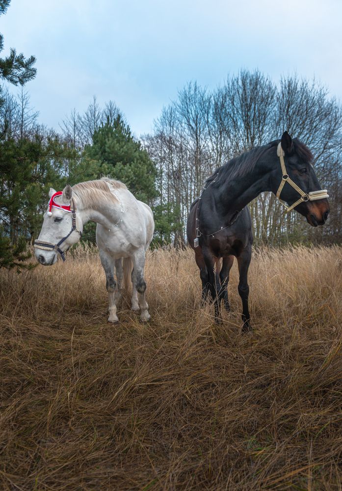 Фотография автора Aлексей Игнатьев