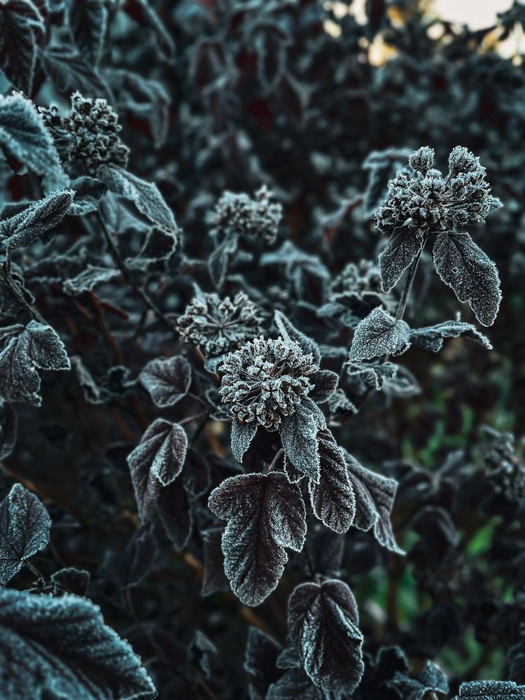 Photograph by Анастасия Савинова