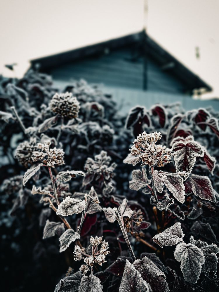 Photograph by Анастасия Савинова