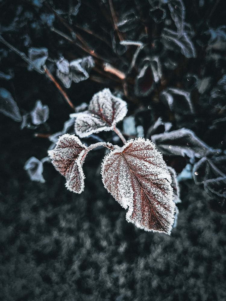 Photograph by Анастасия Савинова