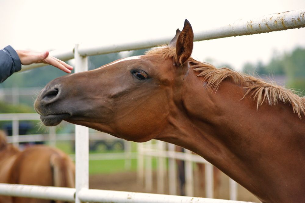 Photograph by Попцов Валерий