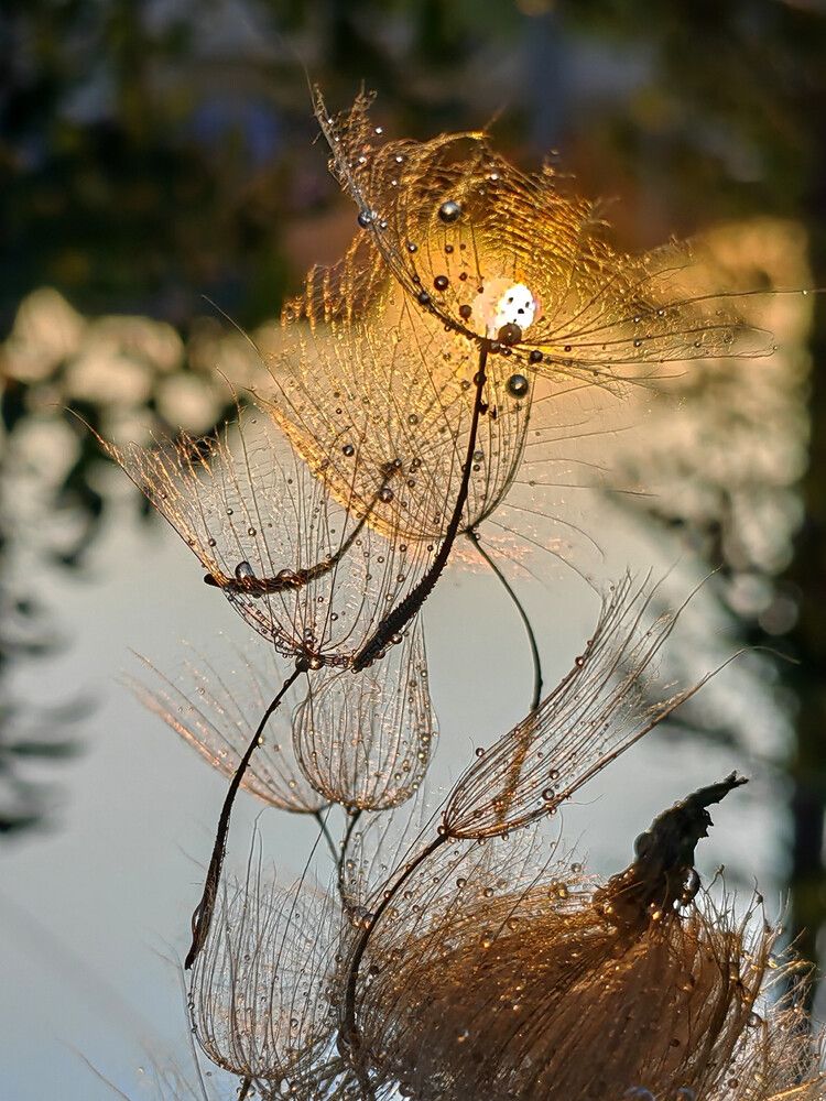 Photograph by Ульяна Кузьмина