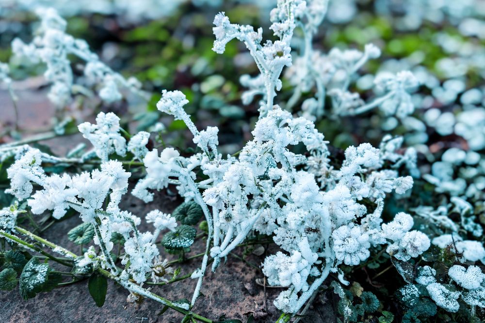 Photograph by Елена Фатьянова