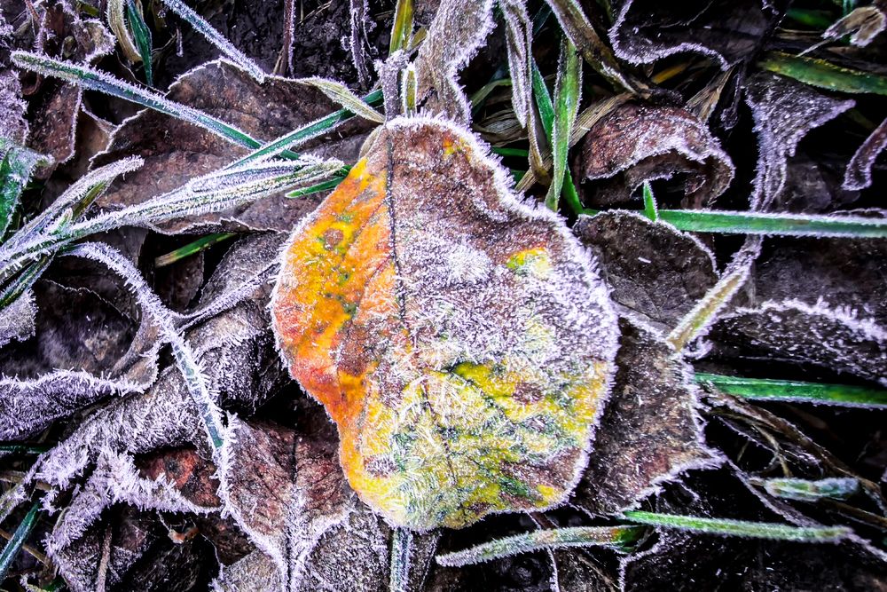 Photograph by Елена Фатьянова