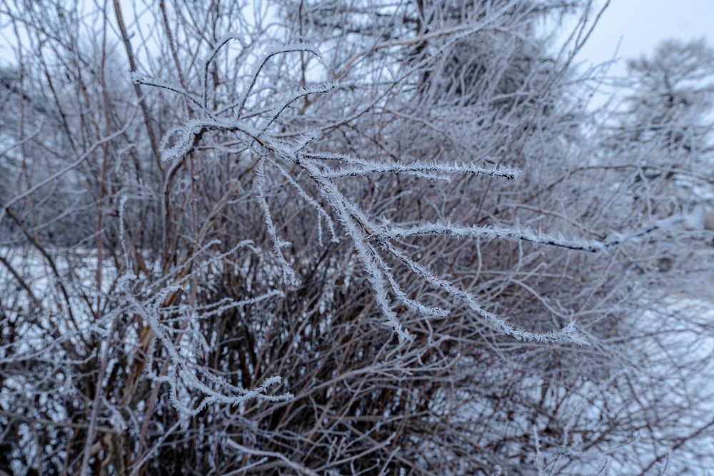 Photograph by Андрей Соколов