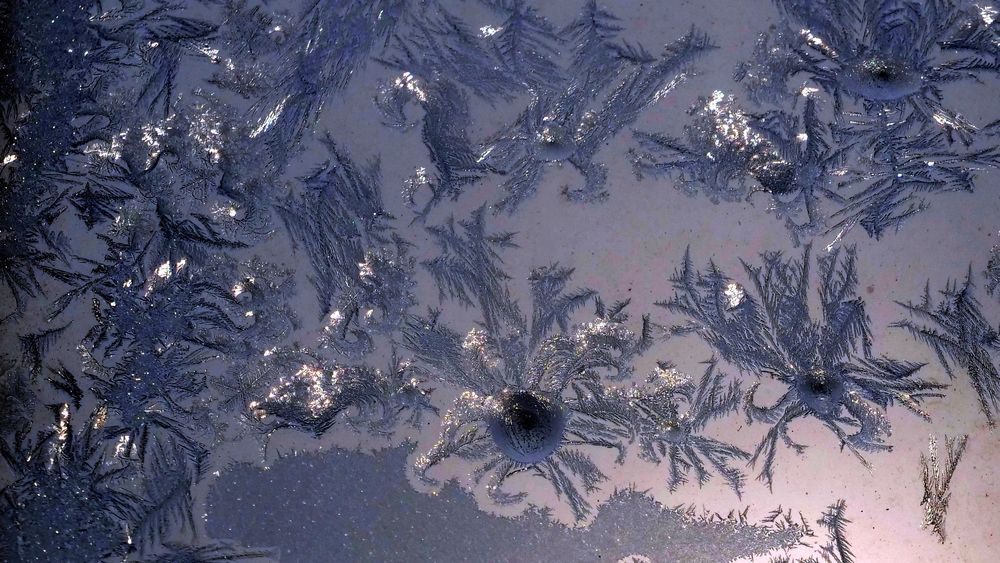 Photograph by николай зайцев