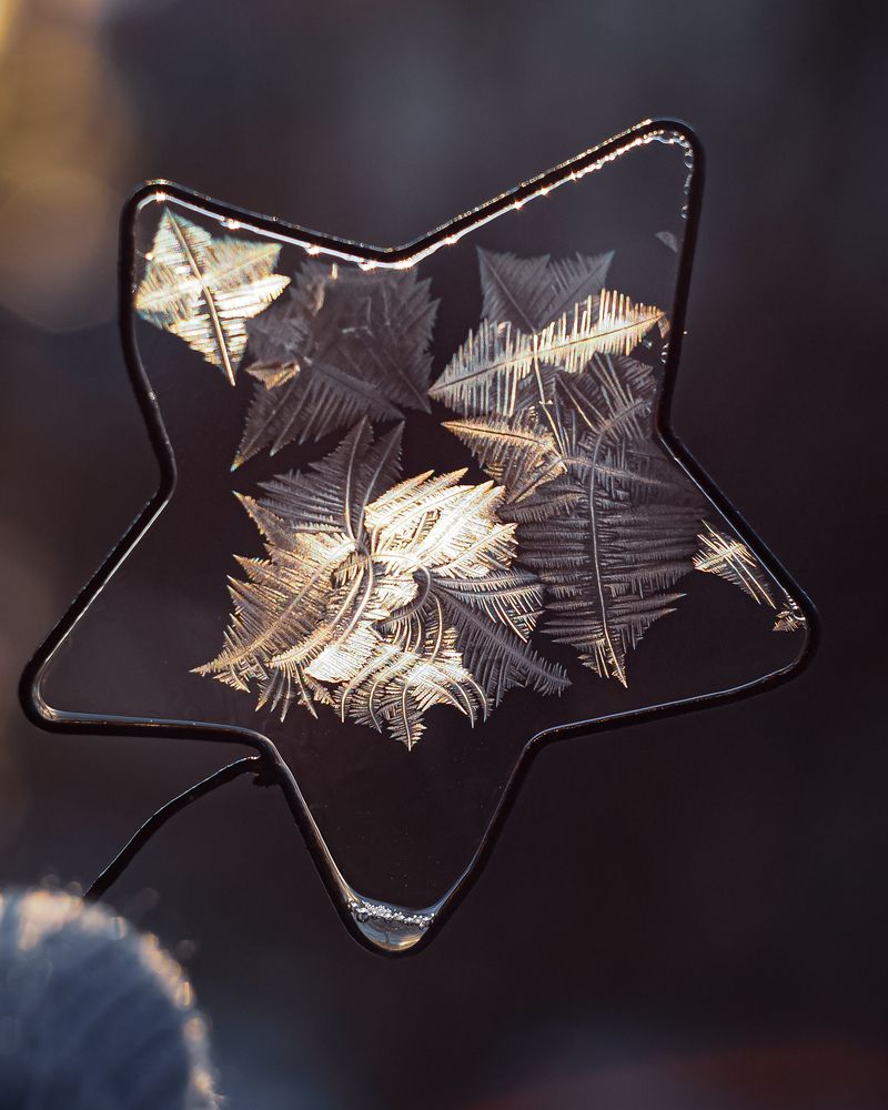 Photograph by Isaeva Maria