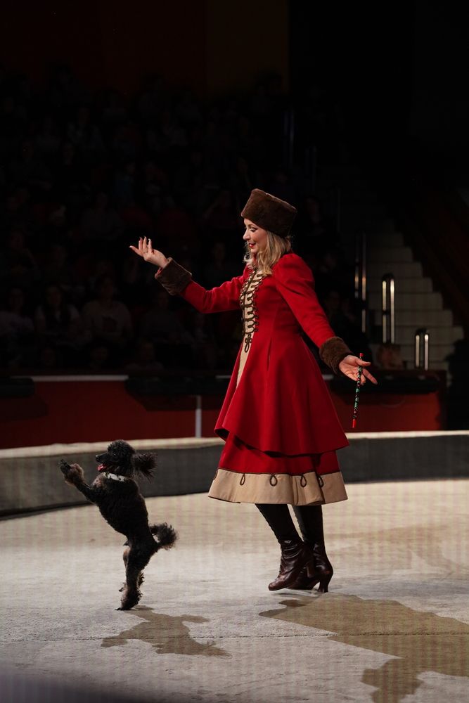 Photograph by Ольга Новикова