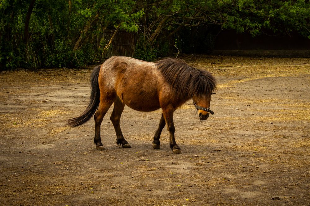 Photograph by Елена Фатьянова