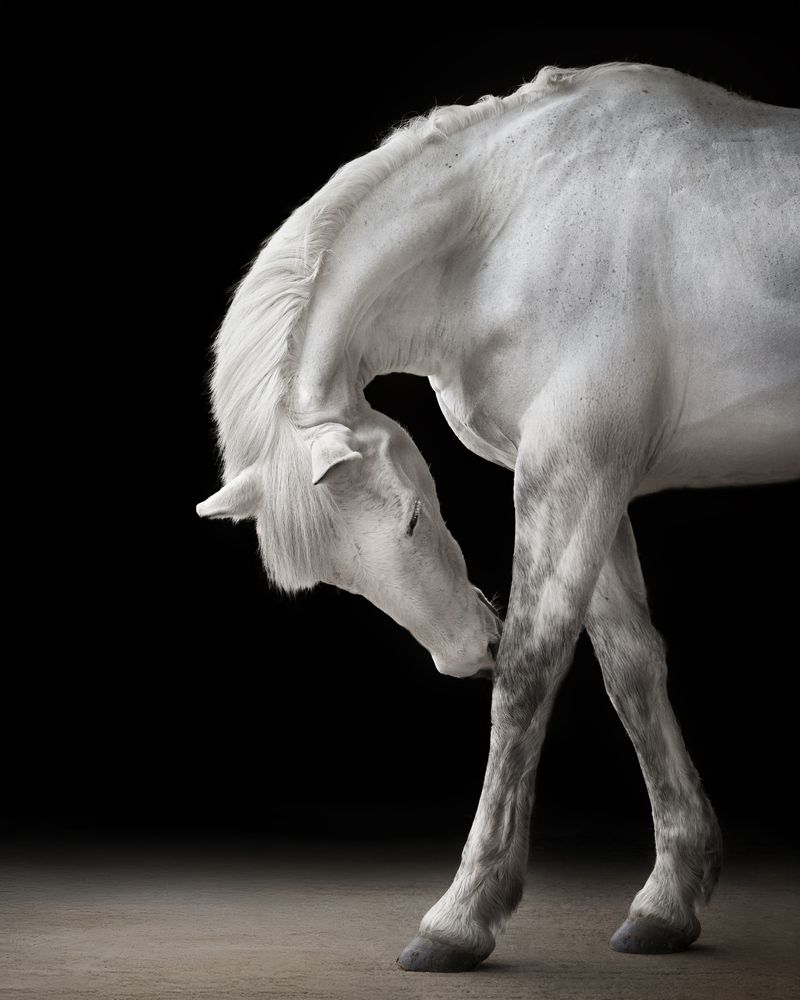 Photograph by Natalie Taylor