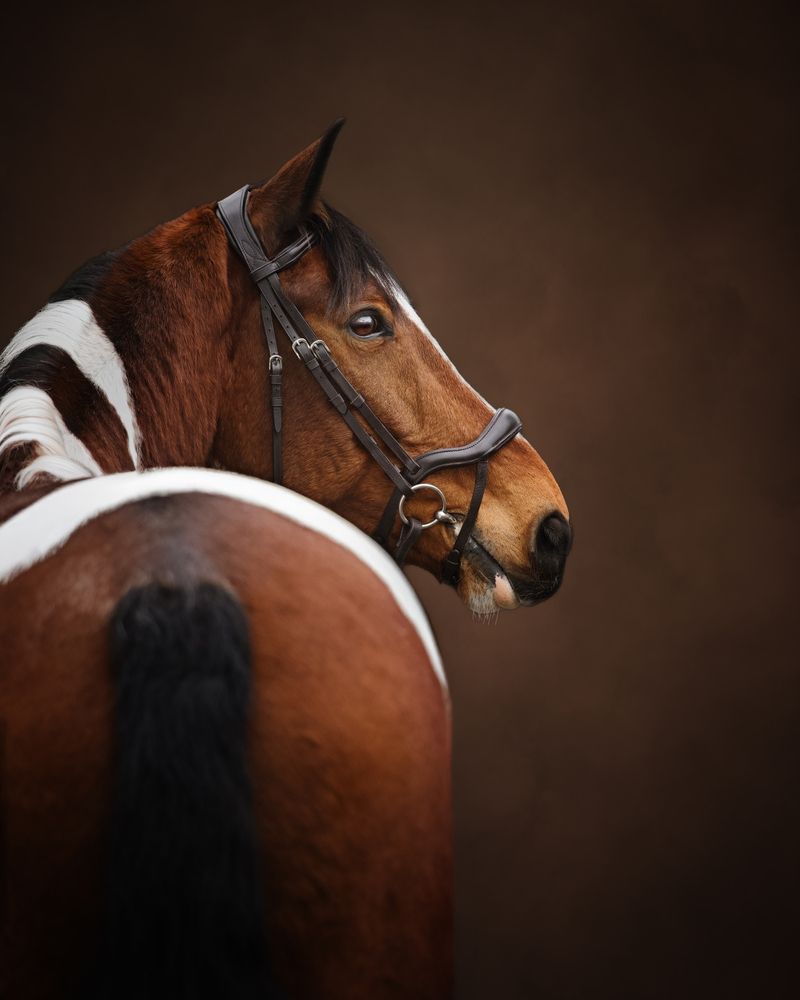 Photograph by Natalie Taylor