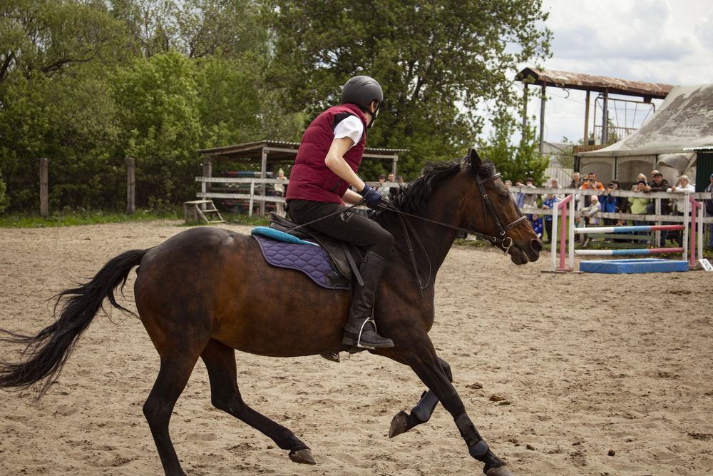 Photograph by Елена Фатьянова