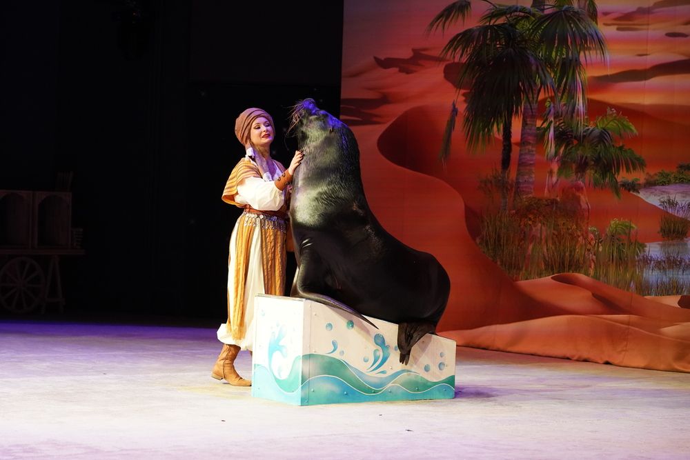 Photograph by Ольга Новикова