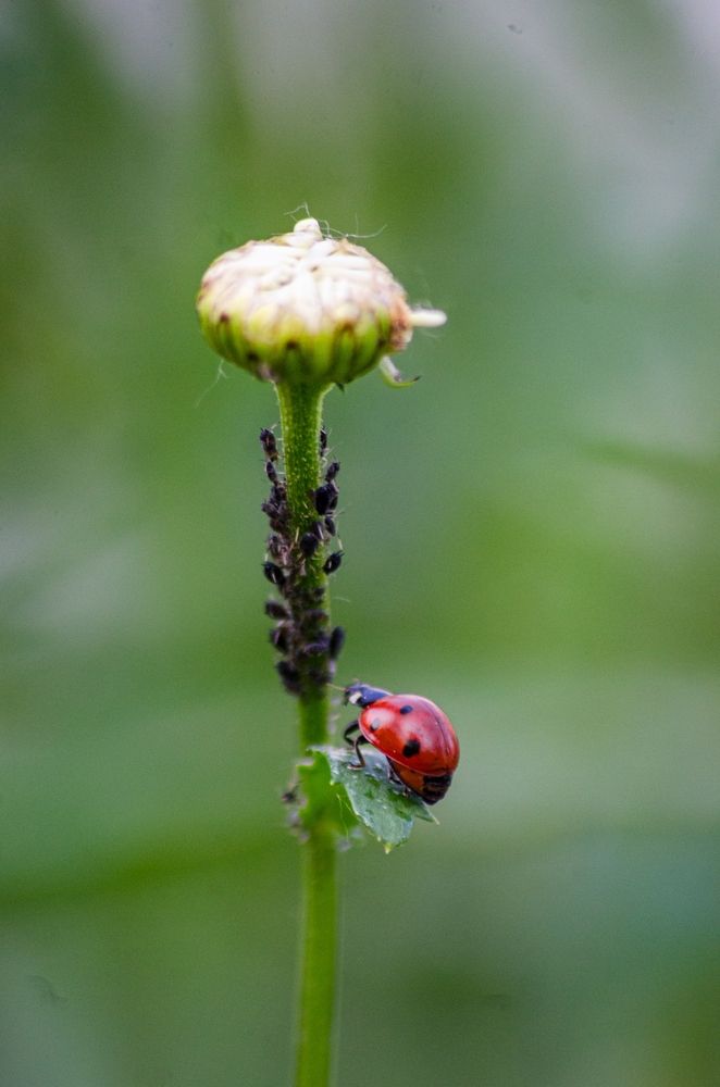Photograph by Татьяна Жиркина