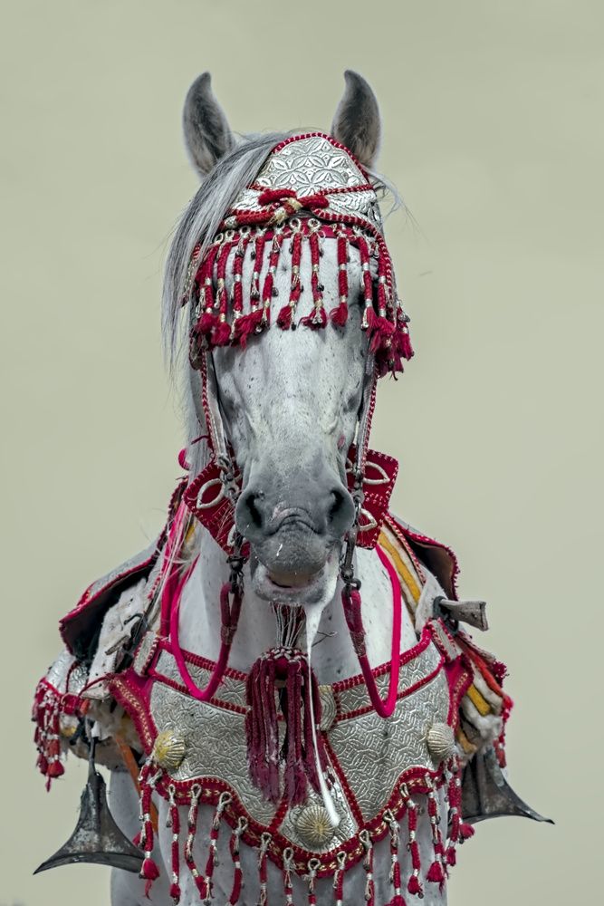 Photograph by Moulay Ahmed KASSI