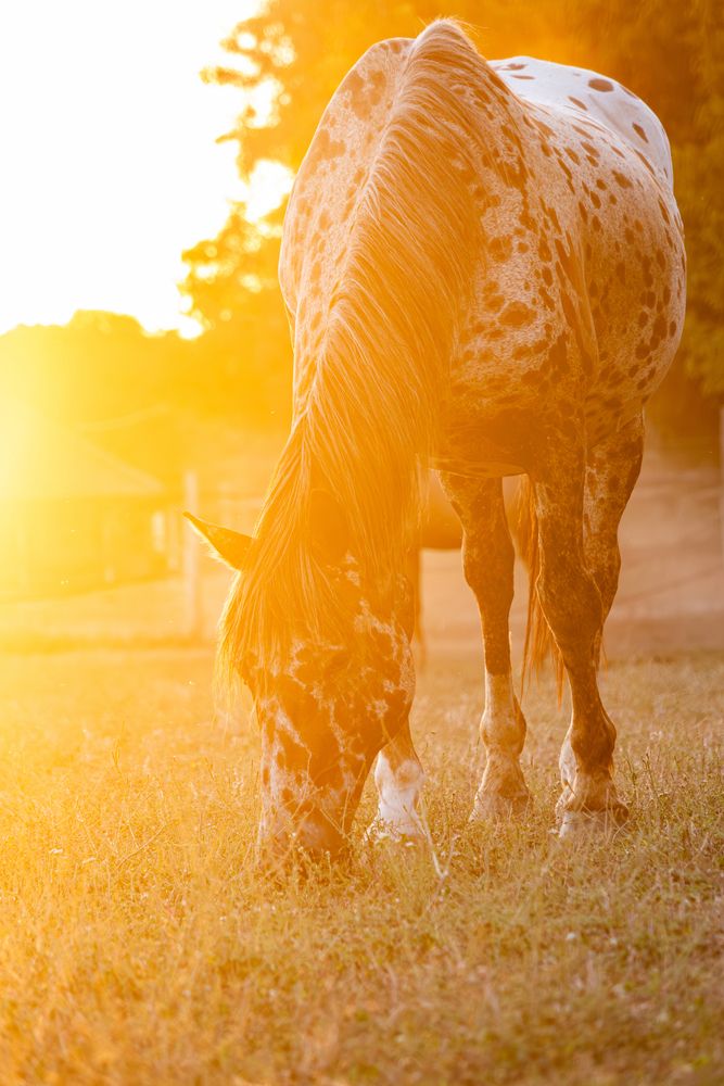 Photograph by Veronika Biró