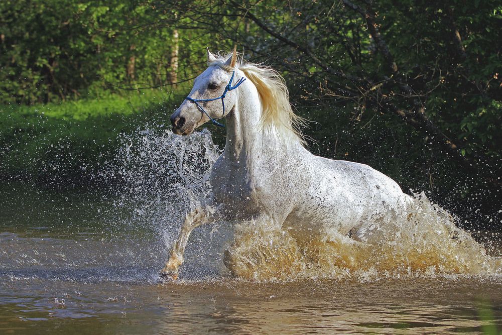 Photograph by Елена Маракулина