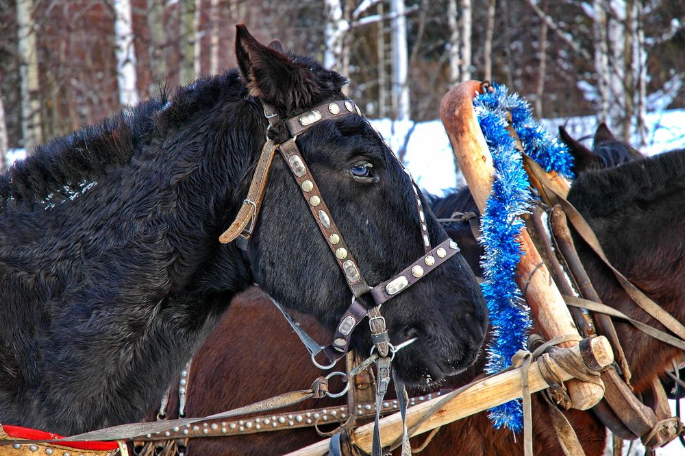 Photograph by Сергей Тимофеев