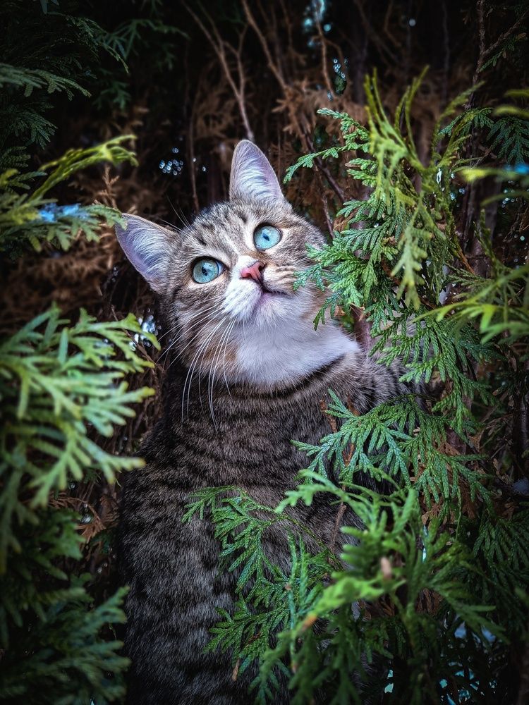 Photograph by Марина Мальцева