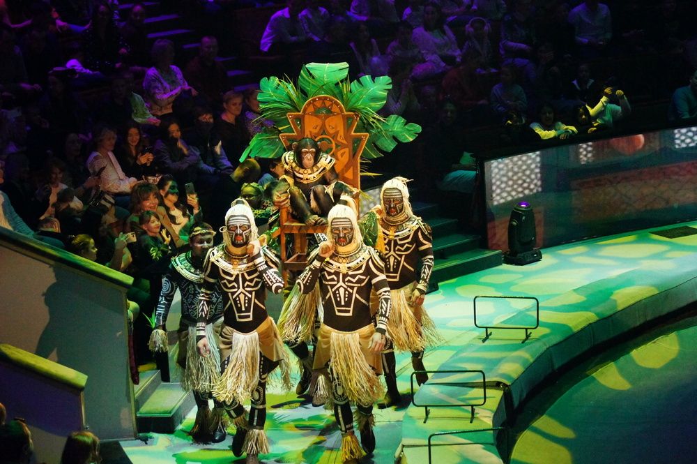 Photograph by Ольга Новикова