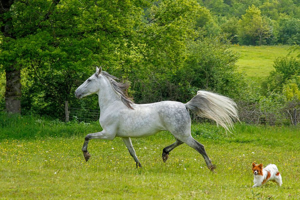 Photograph by Елена Маракулина