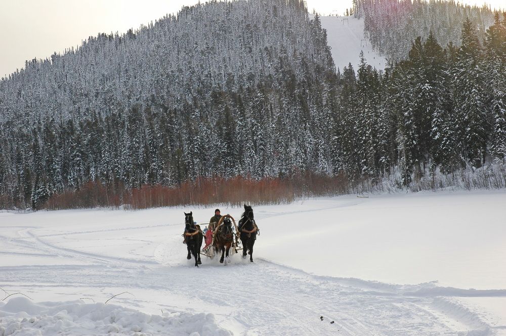 Photograph by Сергей Тимофеев