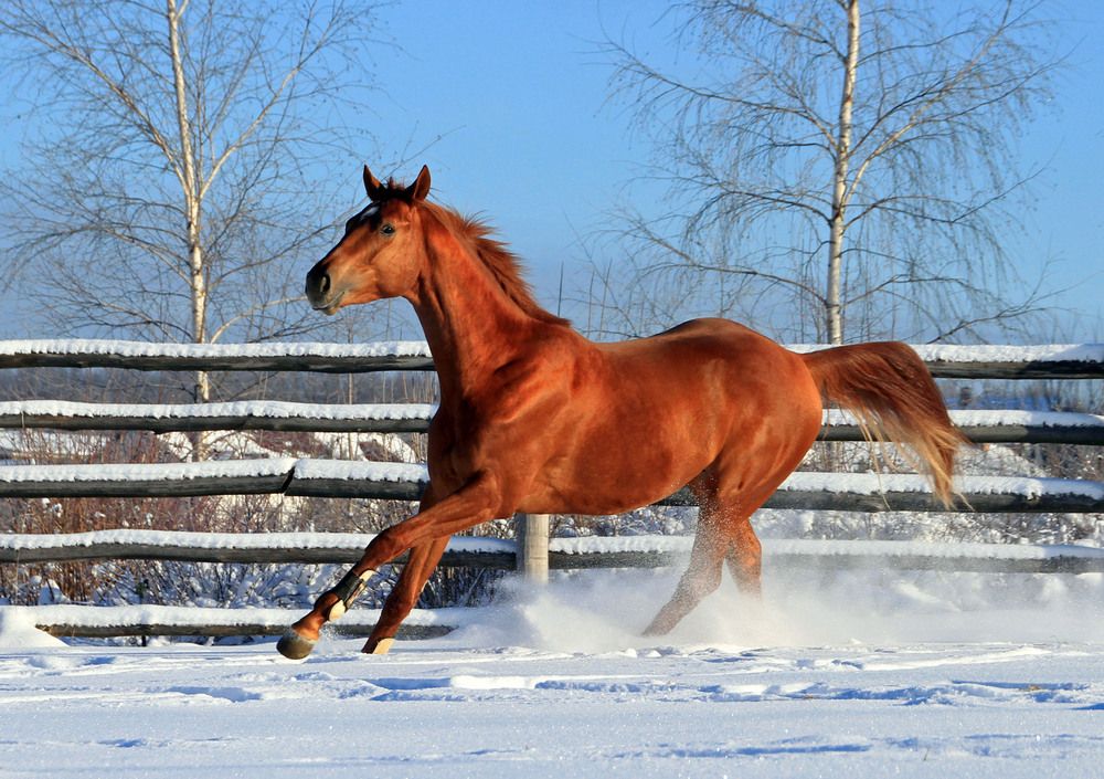 Photograph by Елена Маракулина