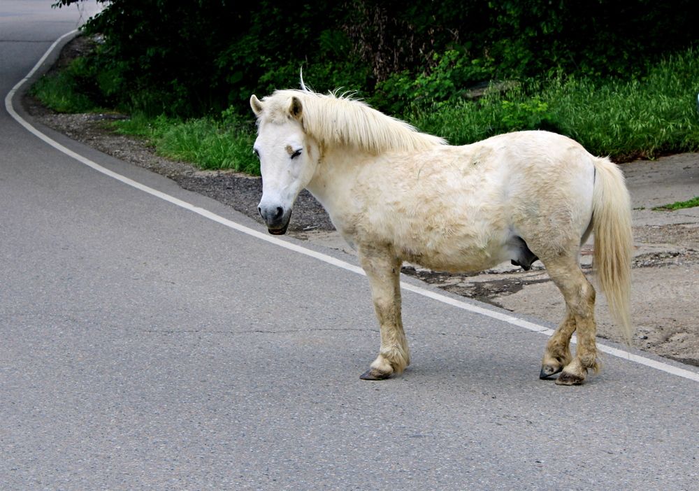 Photograph by Николай Немчанинов