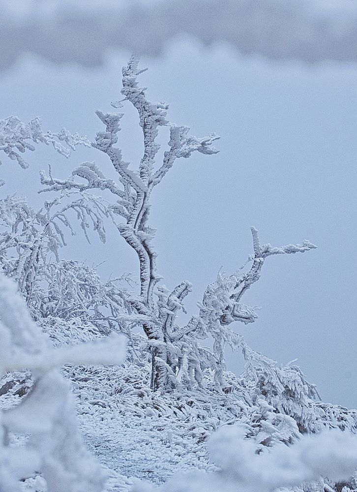 Photograph by Александр