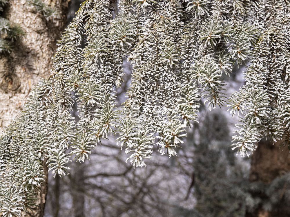 Photograph by Борис Полтавец