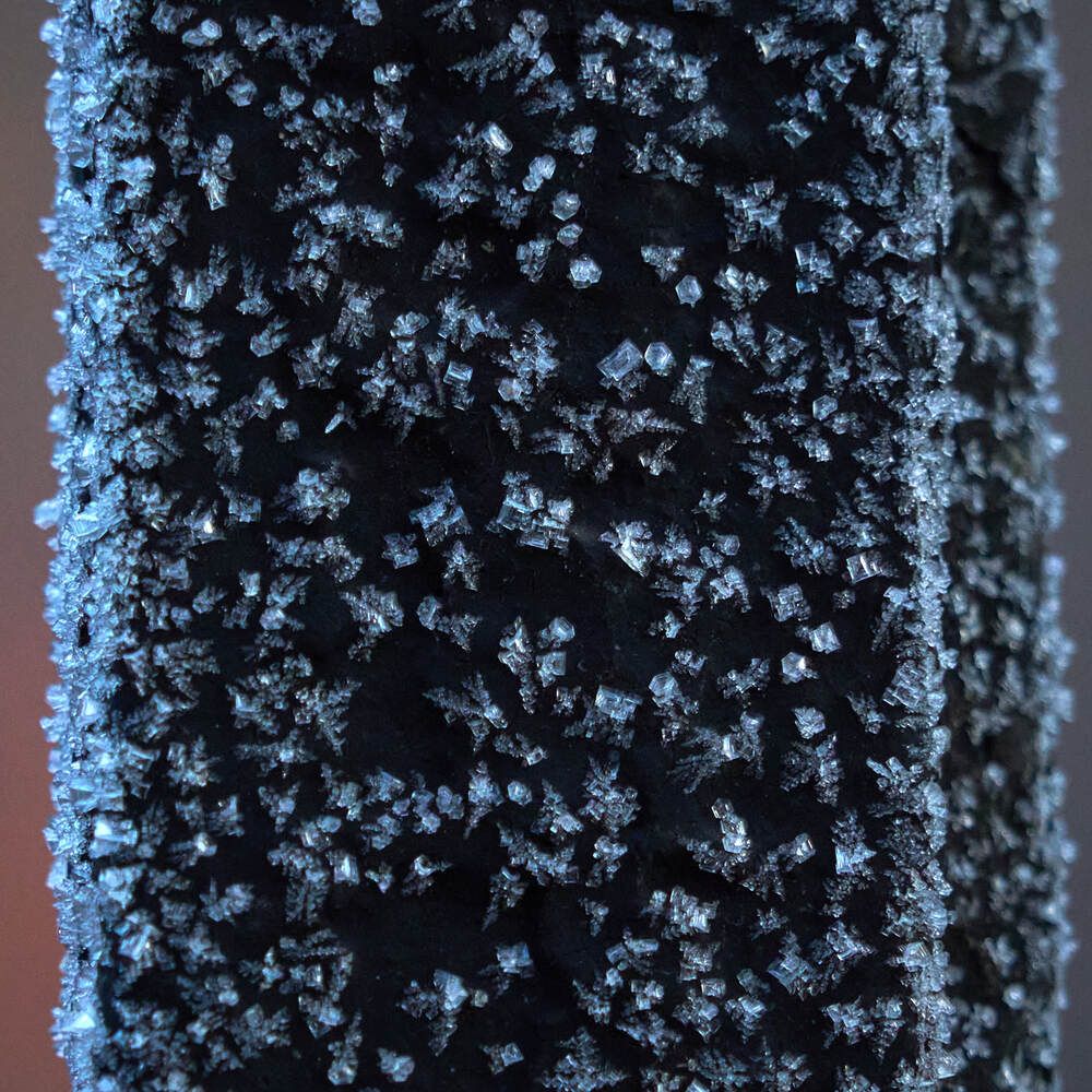 Фотография автора Dana Korolkova