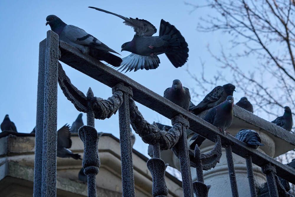 Фотография автора Dana Korolkova