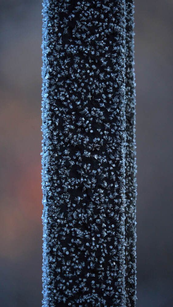 Фотография автора Dana Korolkova