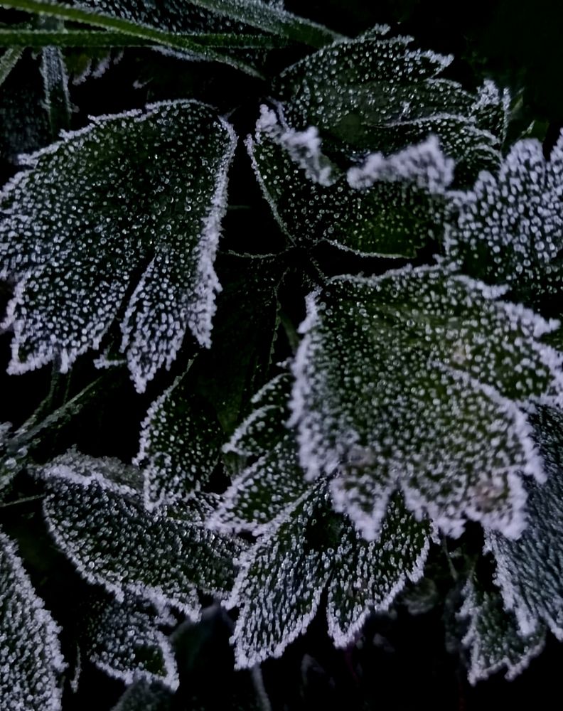 Photograph by Елена Пархоменко