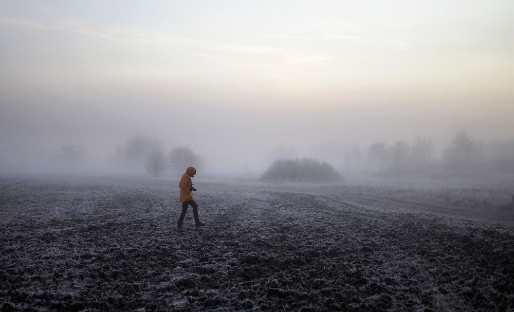 Photograph by Алексей Поляков